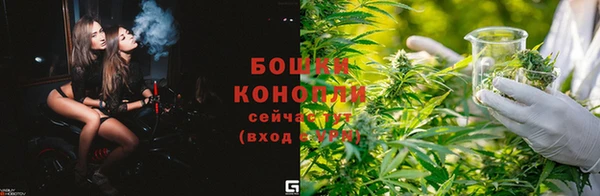 сатива Краснотурьинск