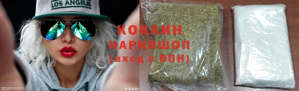 сатива Козельск