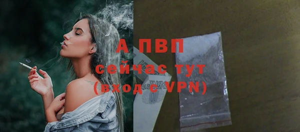 сатива Козельск
