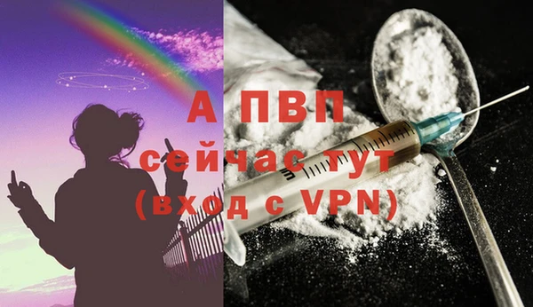 сатива Краснотурьинск