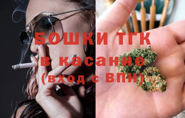 сатива Краснотурьинск