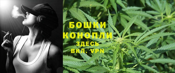 сатива Краснотурьинск