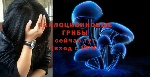 первитин Кодинск