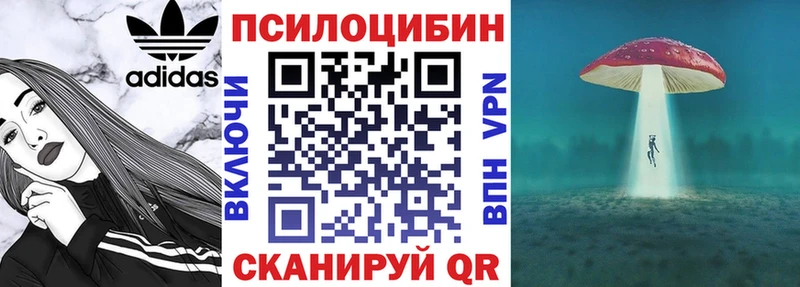 Галлюциногенные грибы Psilocybine cubensis  купить наркотик  KRAKEN сайт  Бердск 